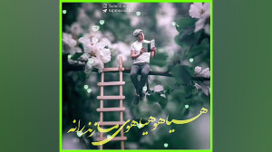 آهنگ زیبای مازندرانی هیاهو هیا...