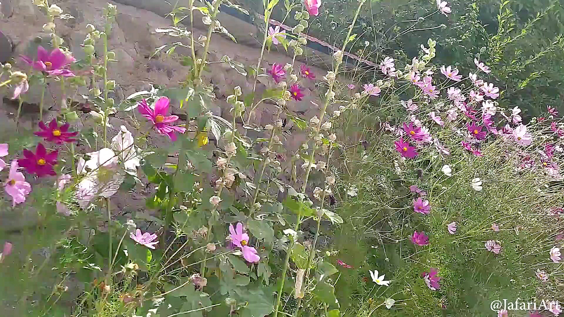 روستای دیزان در طالقان