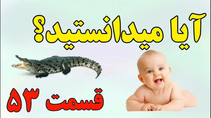 آیا میدانستید؟ دانستنی ها  قسم...