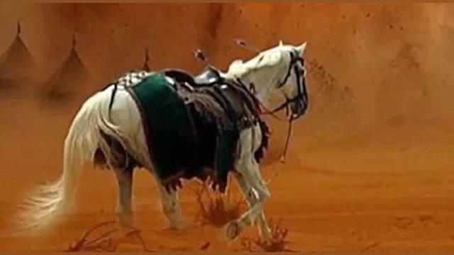 سرنوشت اسب امام حسین(ع) چه شد؟...