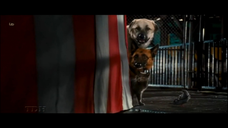 فیلم سینمایی گربه ها و سگ ها cats and dog دوبله فارسی زمان4418ثانیه