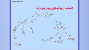 فصل 2 جریان اطلاعات در یاخته