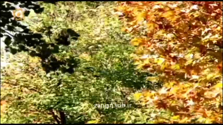 پاییز زنگارنگ