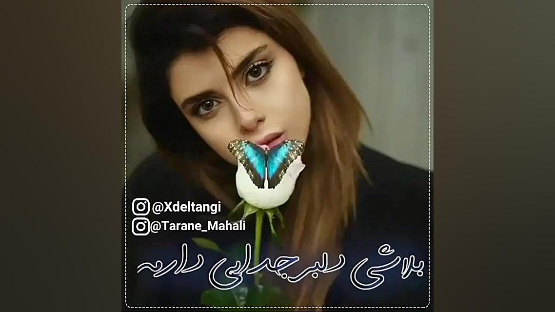 کلیپ آهنگ محلی زیبا  بلبل نخون...