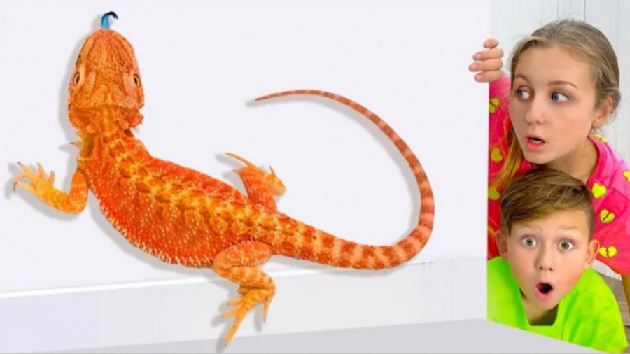 ماجراهای سنیا : سنیا و حیوانات...