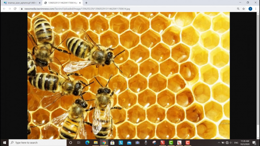 هدیه های آسمانی پنجم درس دوم ج...