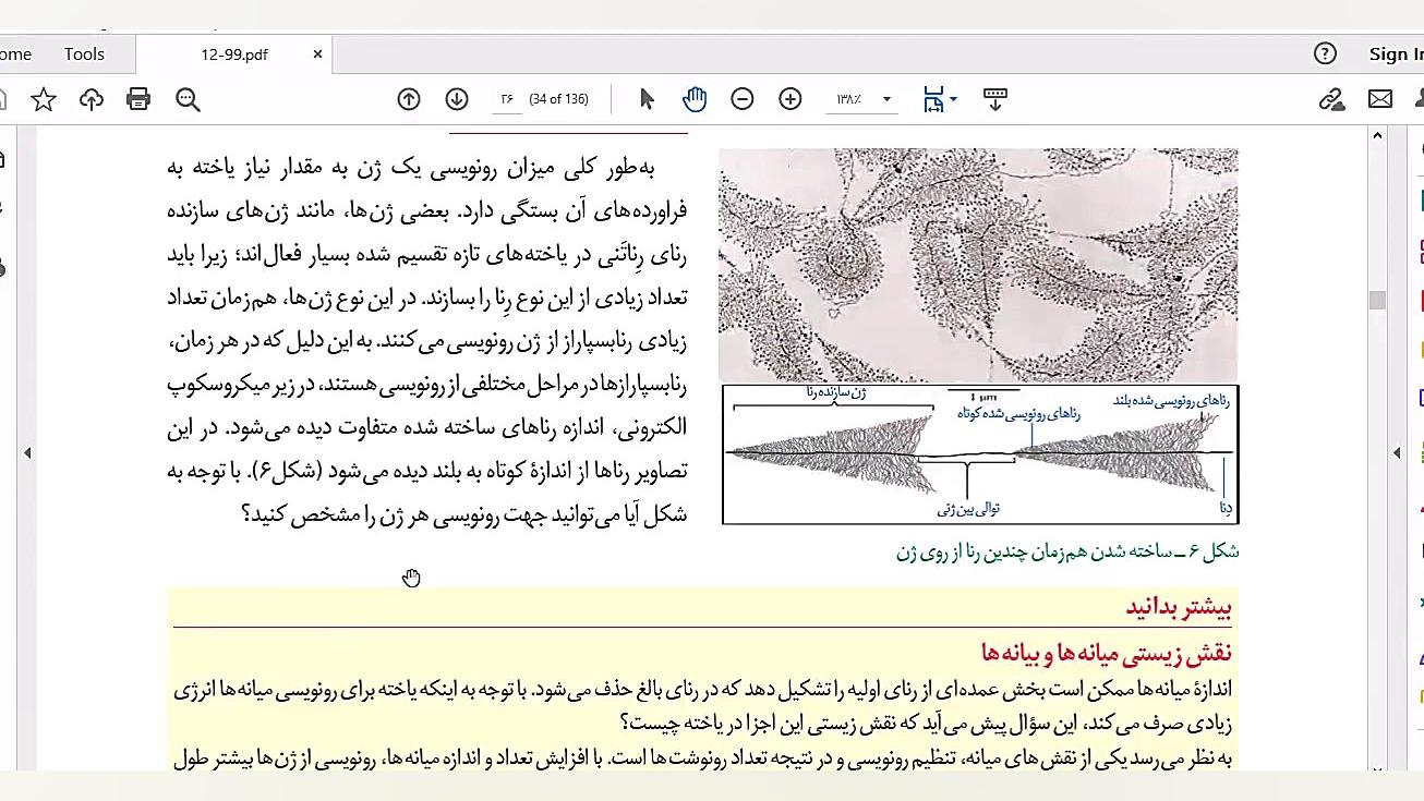 جریان اطلاعات در یاخته  رونویس...