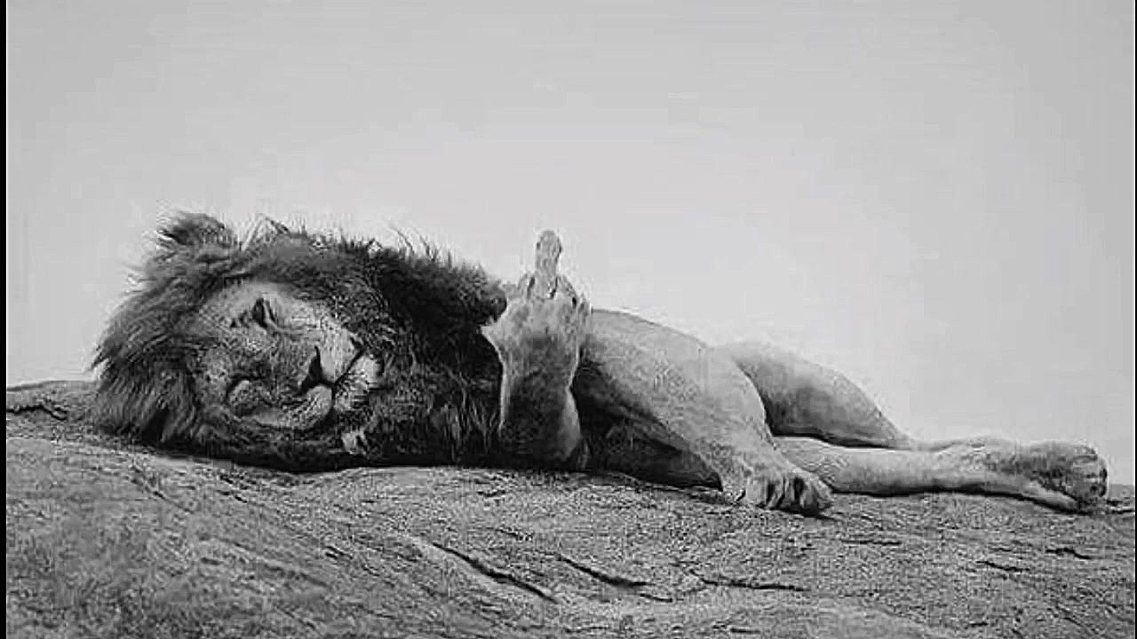 آهنگ جدید  مازندرانی امیر سیفی...