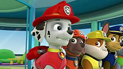 کارتون دوبله فارسی سگ های نگهب...