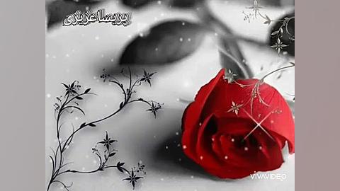 دکلمه حافظ دیوان حافظ ای پادشه...