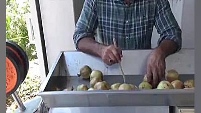 آیا دستگاه آب انار گیری حرفه ا...