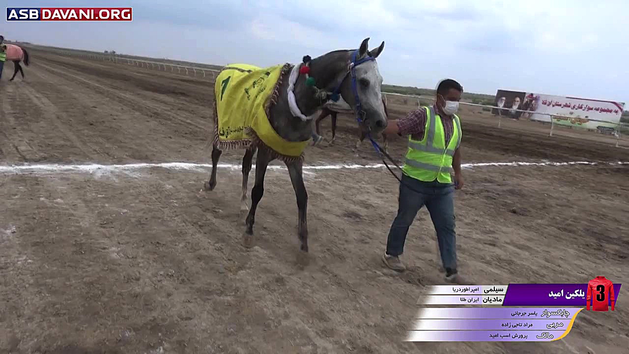 قهرمانی یلکین امید  دور اول از...