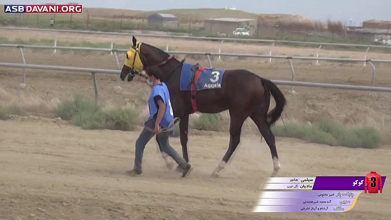 قهرمانی شرین بولت  دور دوم از...