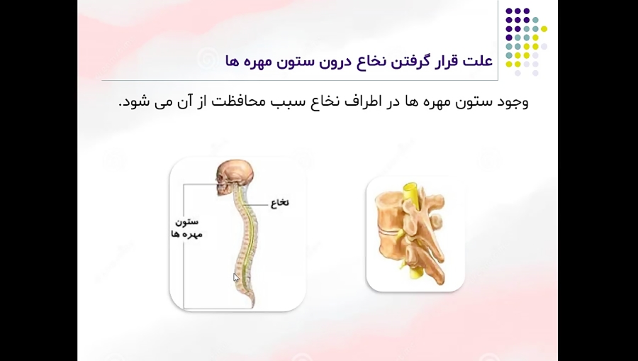 علوم تجربی، پایه هشتم، فصل چها...