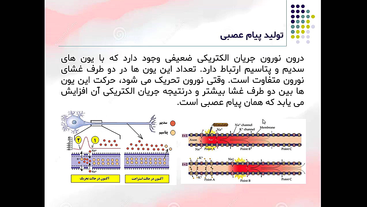 علوم تجربی، پایه هشتم، فصل چها...