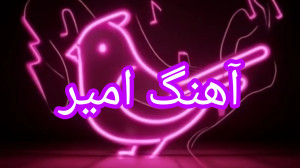 آهنگ تولد اختصاصی استاد امیر م...