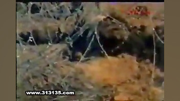 دیدن این فیلم برای خانواده شهد...