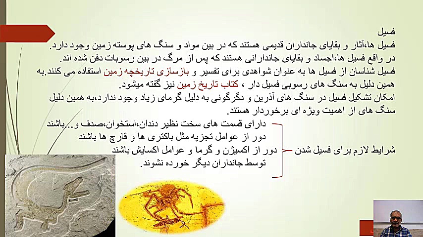 شجره طیبه:فصل هفتم جلسه یک و د...