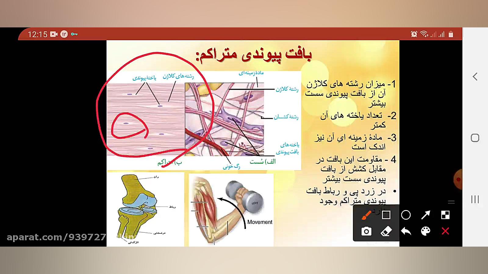 زیست دهم جلسه یازدهم فصل اول پ...