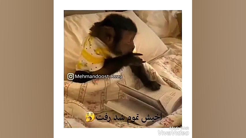 درس خواندن پسرا