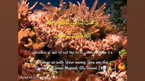 ربنای استاد محمدرضا شجریان