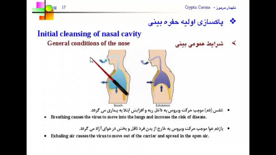 کرونا، تاجدار مرموز 3 شستشوی د...