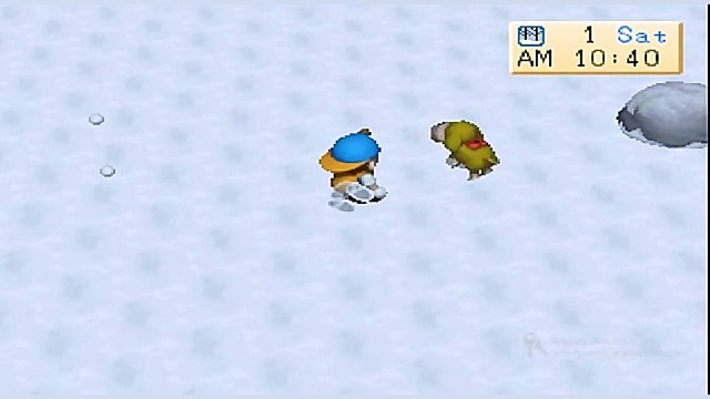 راهنمای مزرعه دار . تمرینات سگ...