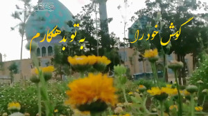 کلیپ عاشقانه امام زمان عج (بیع...