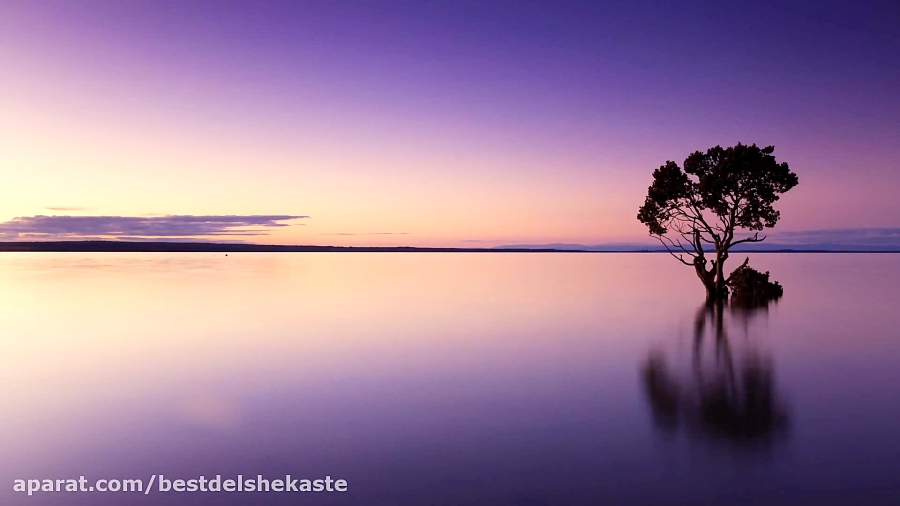 آهنگ افغانی به آواز صفدر توکلی...