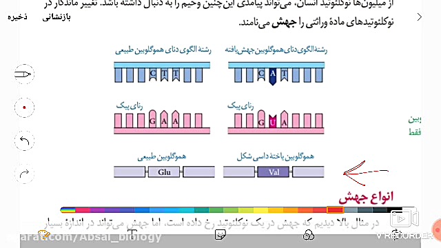 جریان اطلاعات در سلول