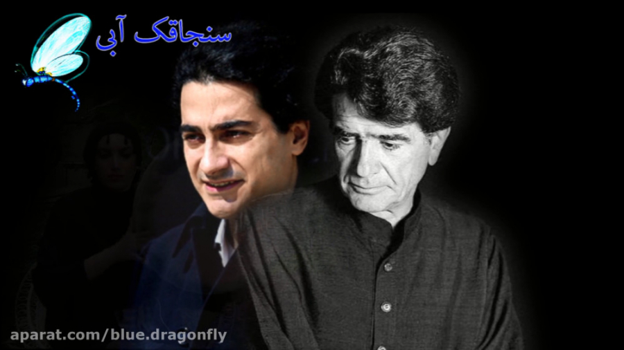 دف نوازی آهنگ همایون شجریان آه...