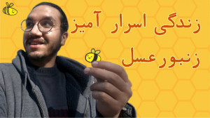 زندگی اسرار آمیز زنبور عسل (ول...
