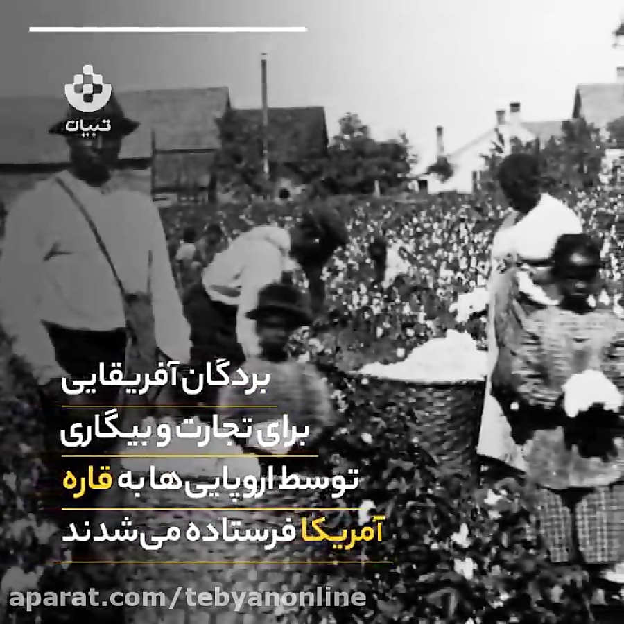 قهرمانهایی که مایه خجالتند!