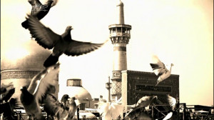 کلیپ تسلیت شهادت امام رضا (ع)