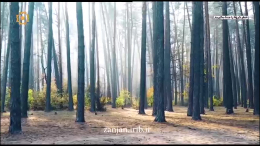 خدایا دوستت دارم | مازیار فلاح...