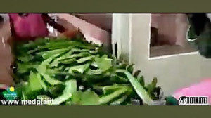 کارخانه تولید نوشیدنی و شربت آ...