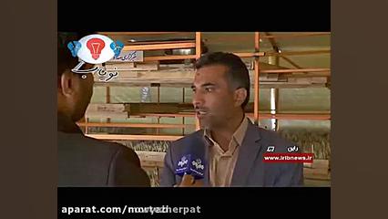 کشت گلخانه ای(ایروپونیک)زعفران