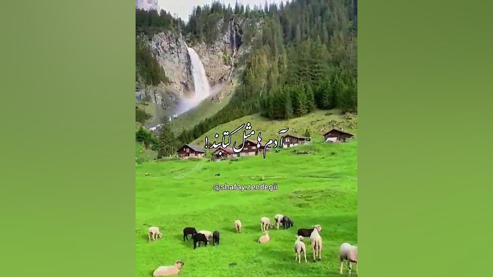 آدم ها مثل کتاب اند....