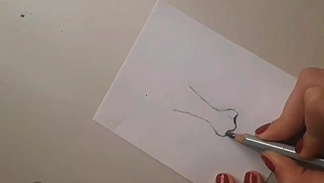 طراحی سیاه قلم بینی