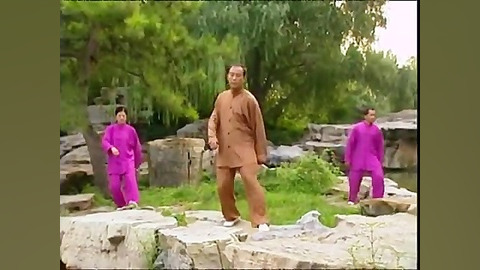 آموزش چی کونگ پنج حیوان