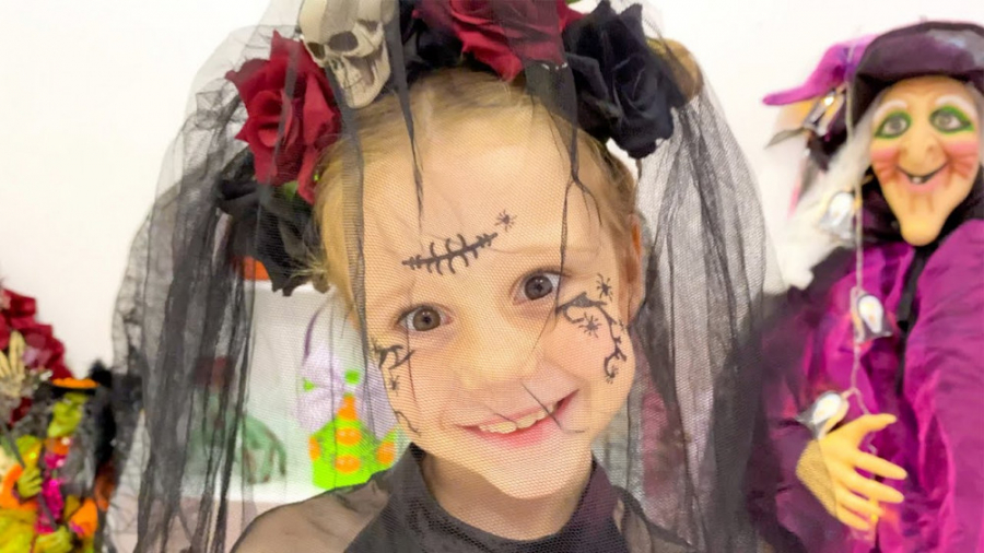 ماجراهای ناستیا و استیسی  هالو...