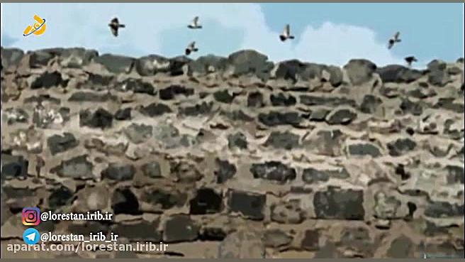 مدینه دلتنگ است برای پیغمبر ص