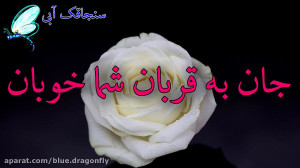 کلیپ تسلیت شهادت امام حسن مجتب...
