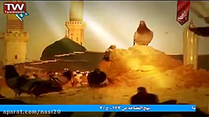 مداحی شهادت حضرت محمد صلی الله...