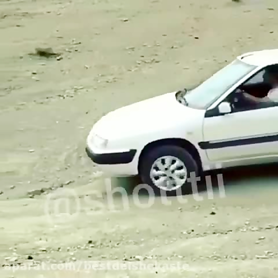 زانتيا.شوتی