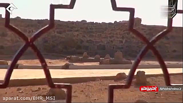 قربون کبوترای حرمت امام حسن، ق...