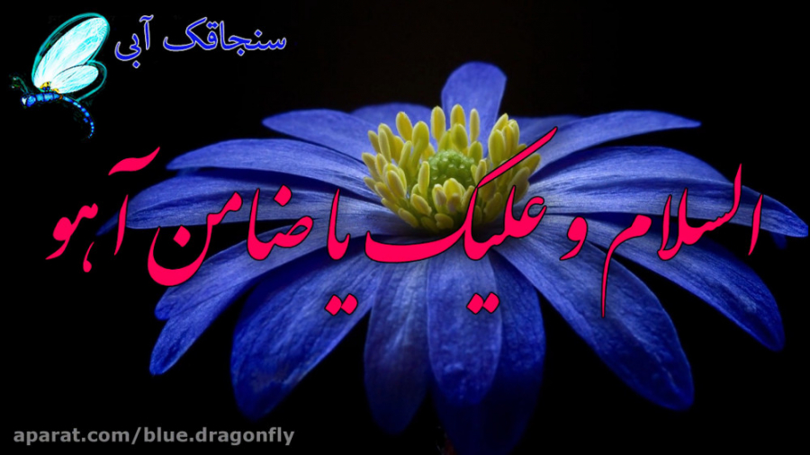 کلیپ تسلیت شهادت امام رضا  تسل...