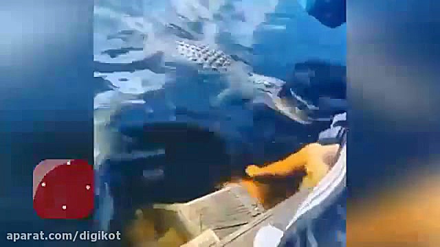 اقدام دیوانه وار یک مرد در برا...