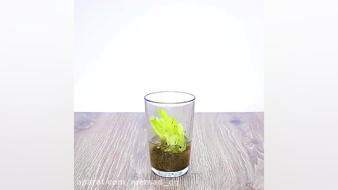 چند ترفند بازیافتی