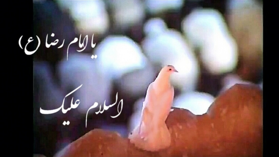 فیلم زیبای حرم امام رضا ع (کار...